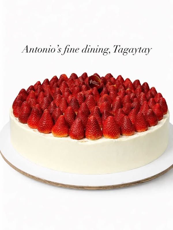Giant Cheesecakes